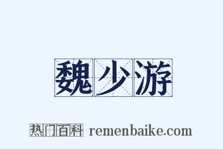 魏少游是什么意思的图片